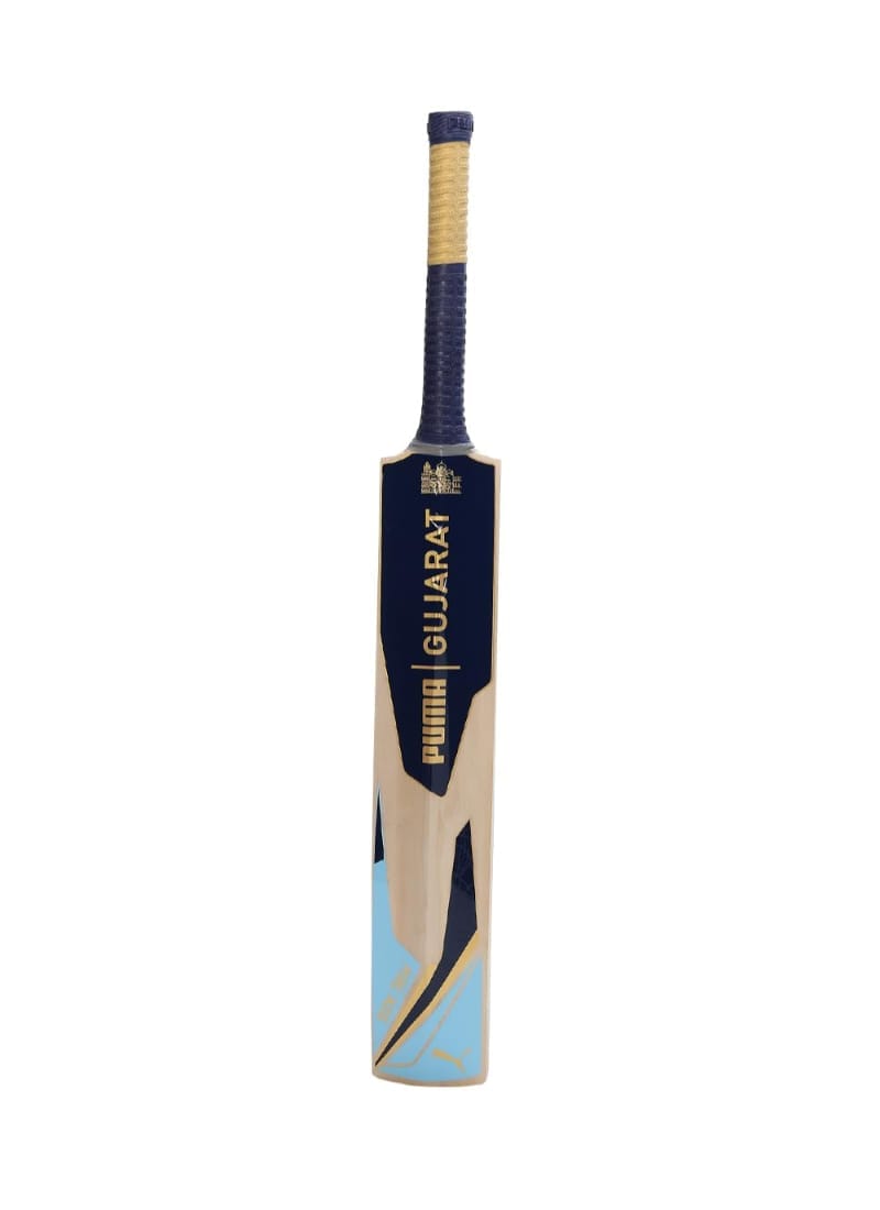 Puma Men's Gujarat JNR City Cricket Bat, Clyde Royal-Ocean Dive