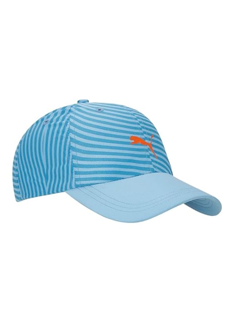 Puma World Cup Unisex-Adult Cap (2436601_Ethereal Blue_Free Size)