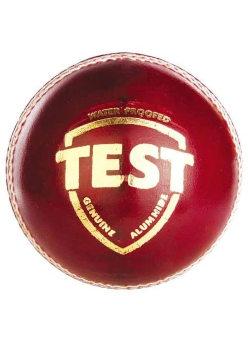 SS Cricket Bowling Machine for Batting Practice Plastic Ball