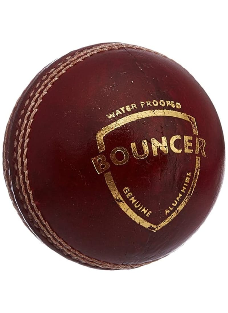 SG Bouncer Leather Ball