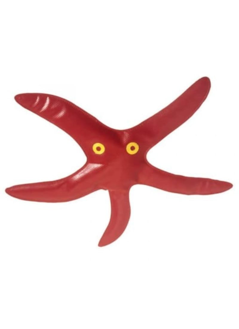 Fitfix™ Diving Objects (Diving Starfish)