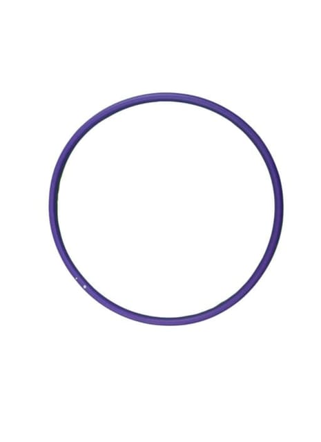 Fitfix™ Arm Hoops, Circular Rings for Exercise, Mini Sports Arm Hoop Weight Loss 2 Hula Hoops Set with Dust Resistant Cover, Arm Hoop Violet and Blue-Diameter of Both Rings is 20 inches