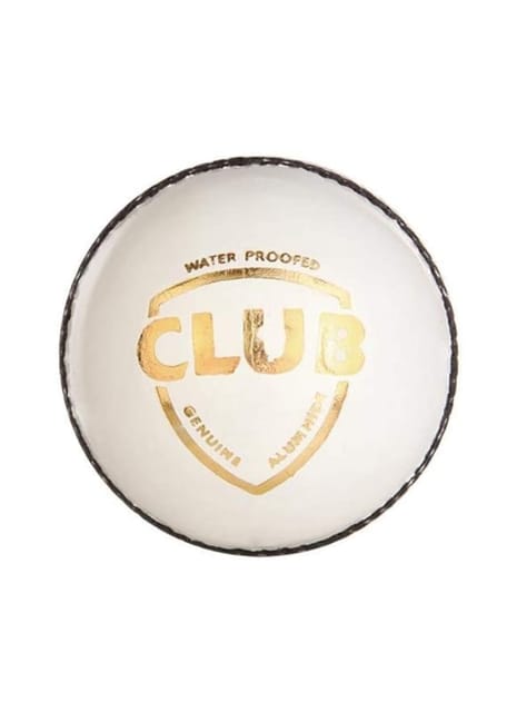 SG Club Leather Cricket Ball (White)